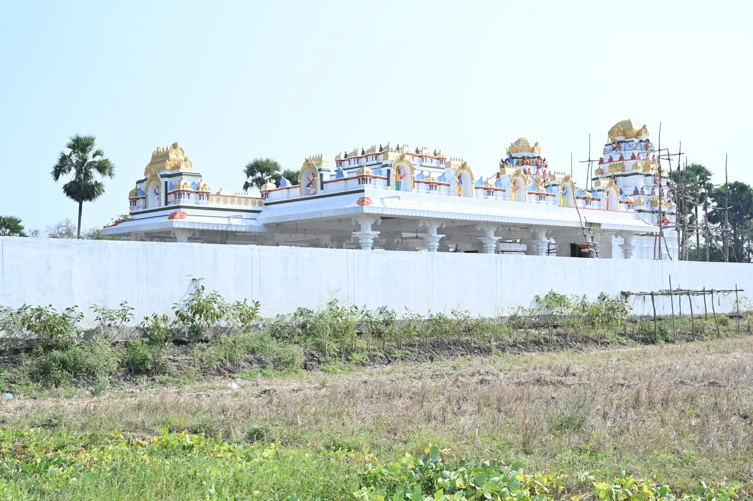 Sri Krishna and Saraswathi Temple at N. Gollapalem Sri Krishna and Saraswathi Temple at N. Gollapalem